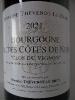 Magnum Bourgogne Hautes Côtes de Nuits rouge Clos du Vignon 2021 Domaine Thévenot-Le Brun